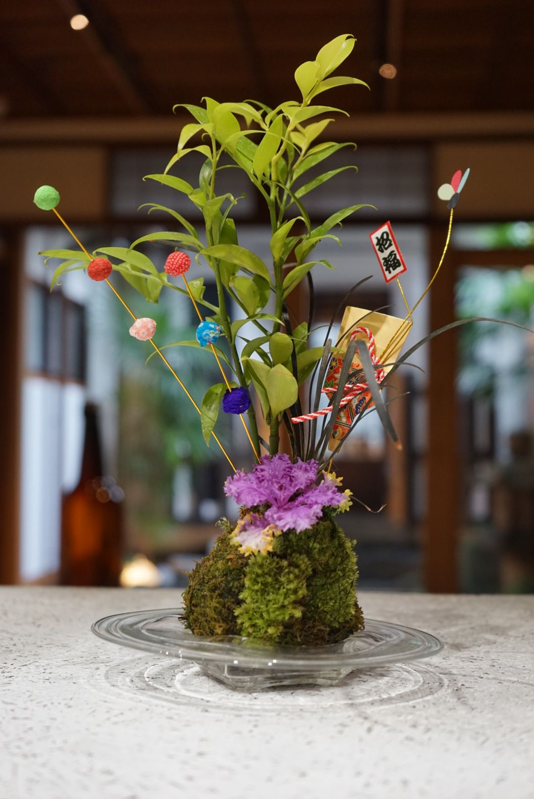 苔玉 数量限定で販売いたします 続 Cuteglass Shop And Gallery